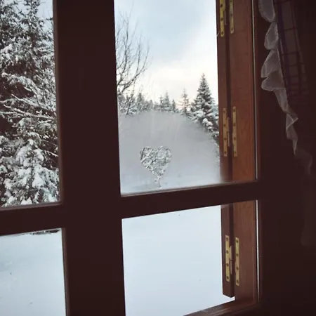 Orman Evi Vikendica Ristic Sljivovica (Zlatibor)